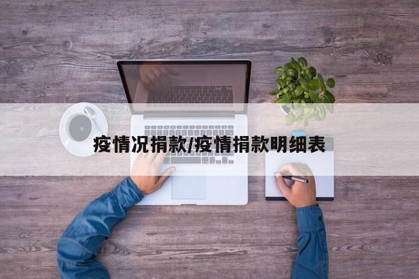 疫情况捐款/疫情捐款明细表